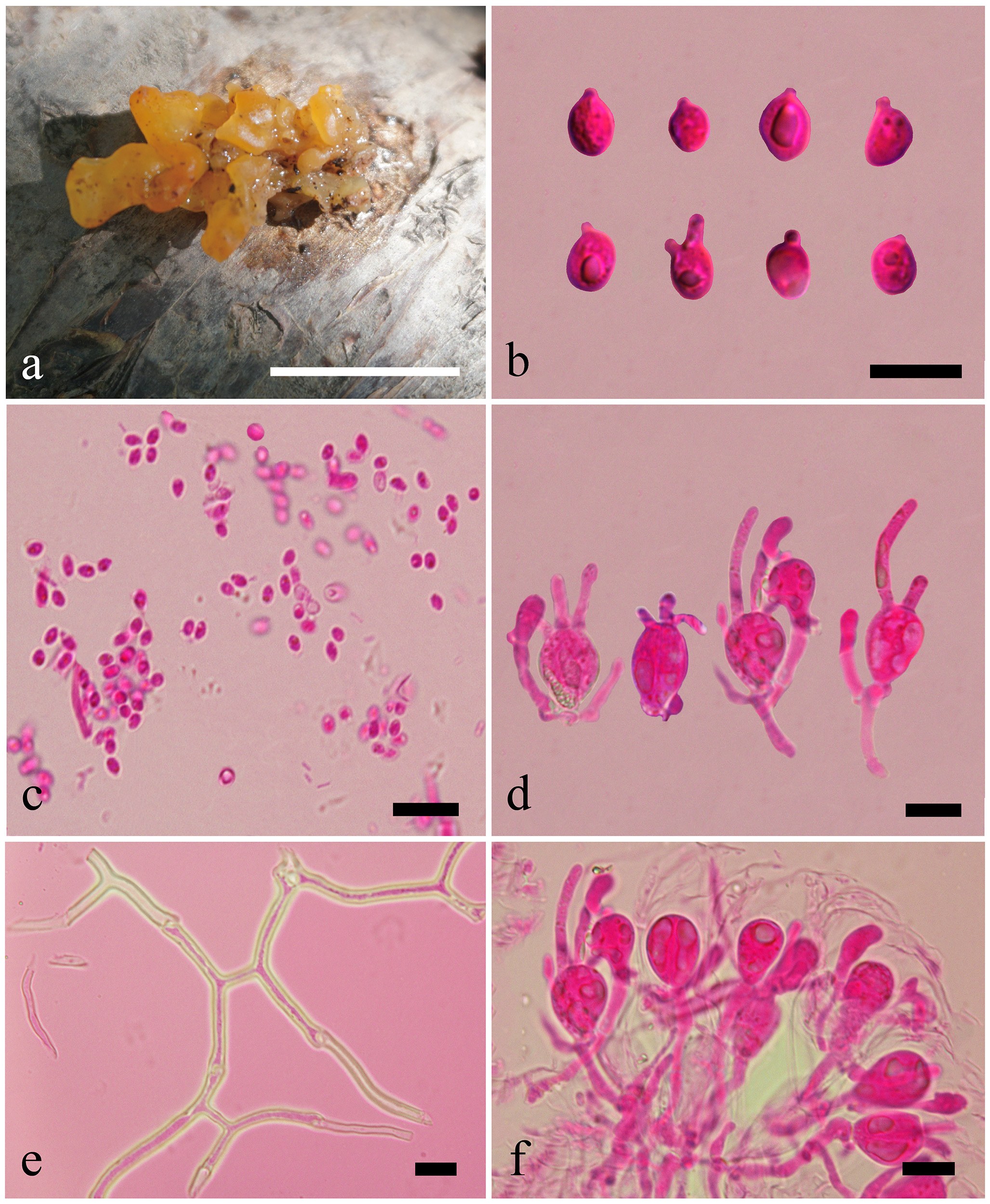 Figure 72